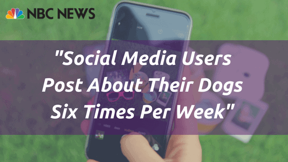Social Media Users Post About Their Dogs Six Times Per Week