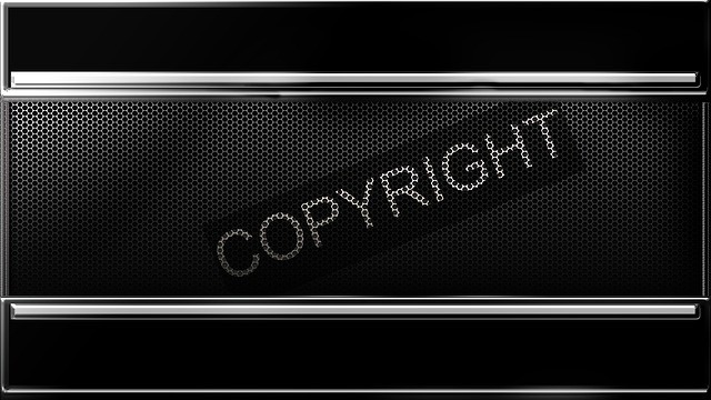 3 Copyright Issues for Companies