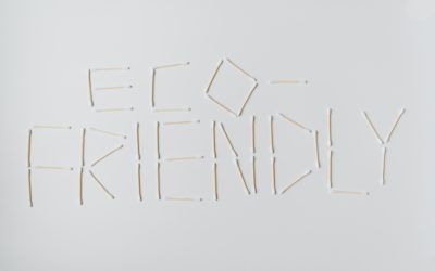 Lowering Carbon Emissions as a Business: Three Tips For Eco-Friendly Entrepreneurs