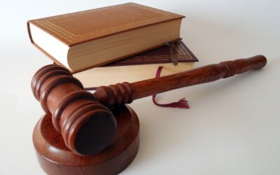How To Become a Legal Consultant
