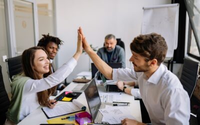 How South Australian Business Owners Mitigate Business Risks