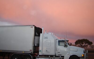 What is the Minimum Cargo Insurance Required for Carriers?