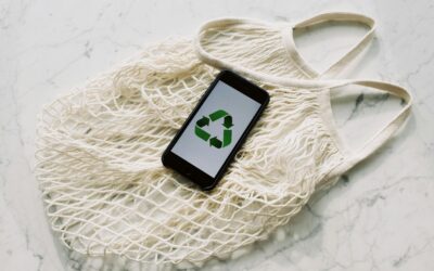 The Rise of Eco-Friendly Packaging: Sustainable Solutions for a Greener Future
